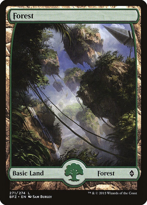 Forest front