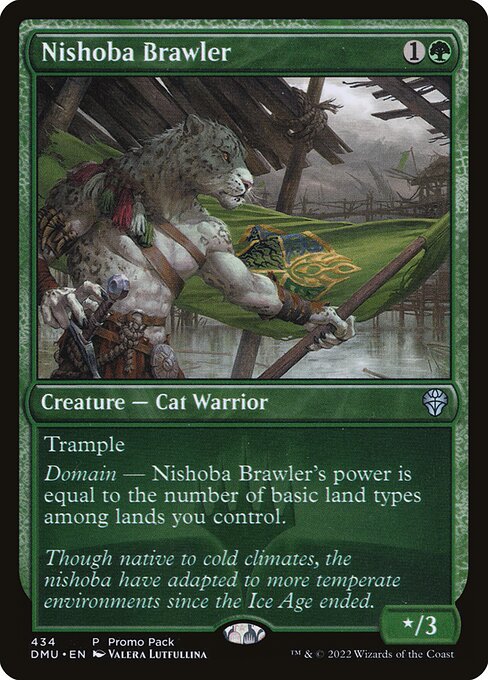 Nishoba Brawler front
