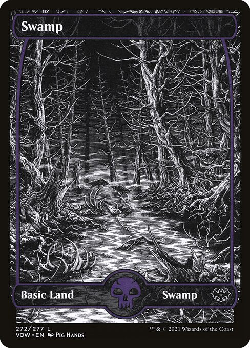 Swamp front