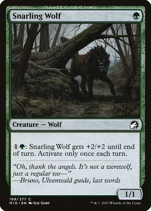 Snarling Wolf front