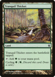 Tranquil Thicket (DDJ) 82