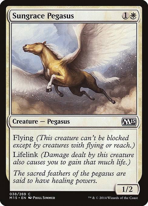 Sungrace Pegasus front