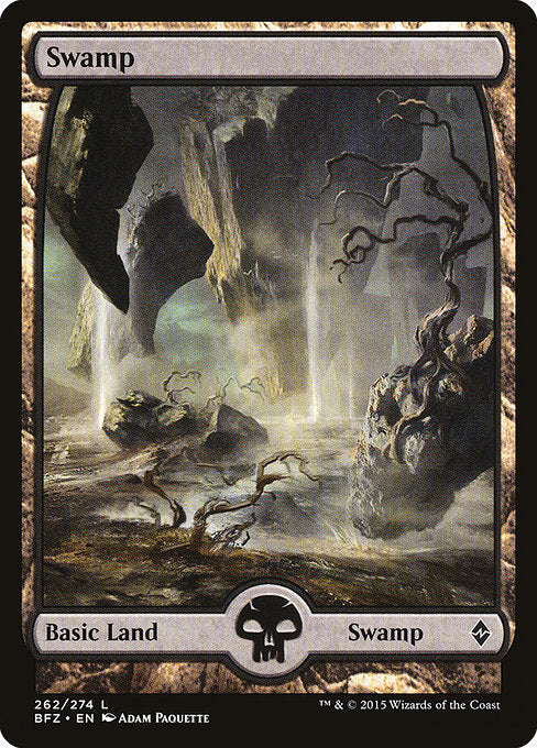 Swamp front