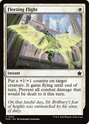 Fleeting Flight (FDN) 13