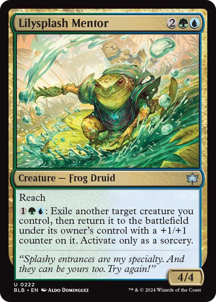 Lilysplash Mentor, BLB, 222, NM