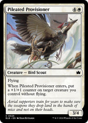 Pileated Provisioner, BLB, 25, NM