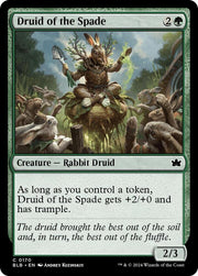 Druid of the Spade, BLB, 170, NM