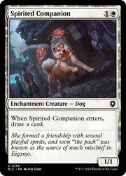 Spirited Companion, BLC, 155, NM