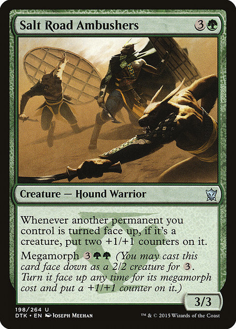 Salt Road Ambushers front