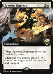 Sparring Regimen (STX) 293