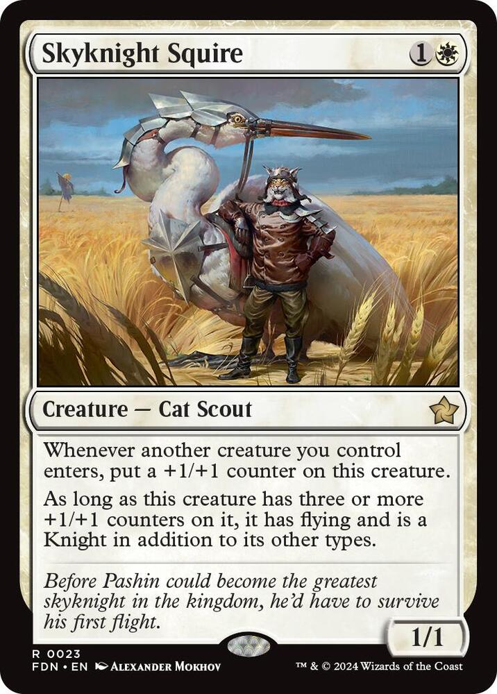Skyknight Squire, FDN, 23, NM