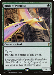 Birds of Paradise (GK2) 82