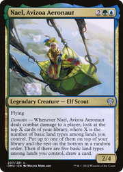 Nael, Avizoa Aeronaut (DMU) 207