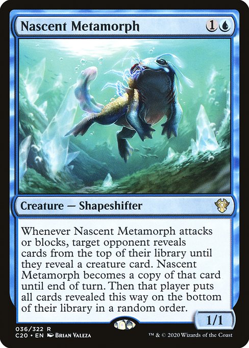 Nascent Metamorph front