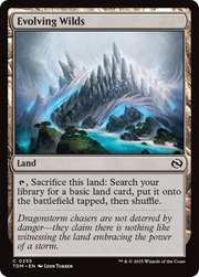 Evolving Wilds (TDM) 255 - WZRD TCG
