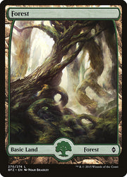 Forest front