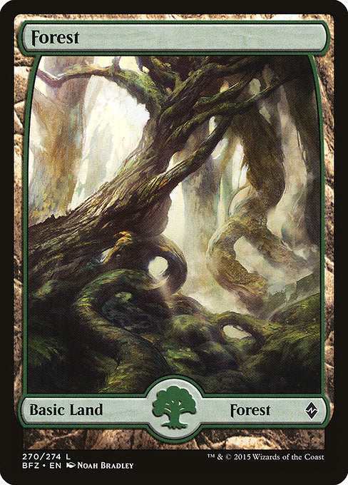 Forest front