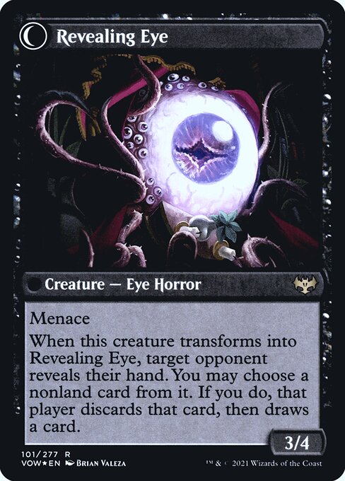 Concealing Curtains // Revealing Eye (Back)
