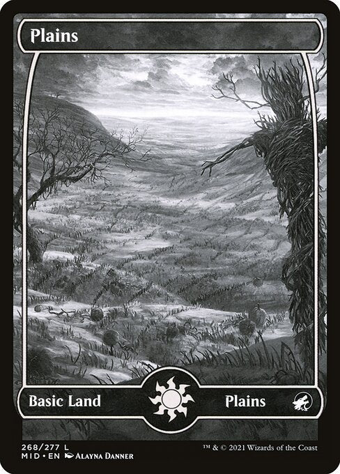 Plains front
