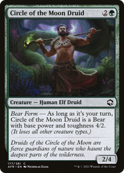 Circle of the Moon Druid (AFR) 177