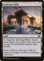 Evolving Wilds (AFR) 256