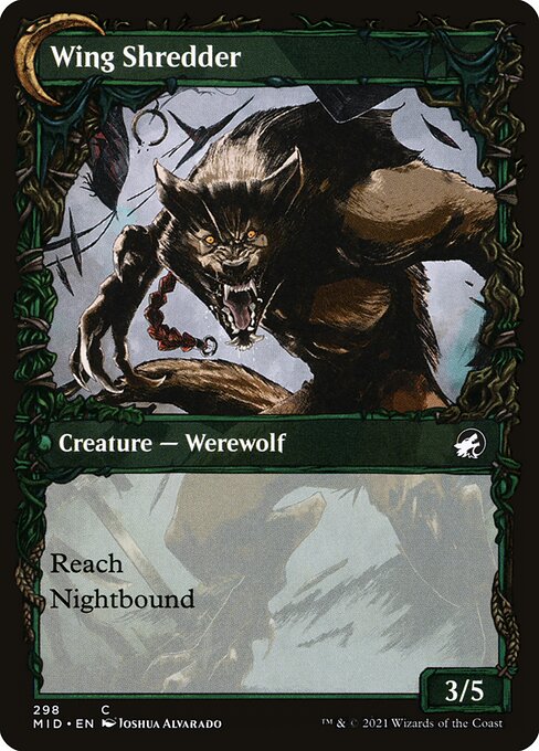 Bird Admirer // Wing Shredder (Back)