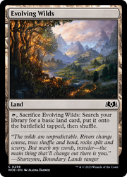 Evolving Wilds (WOE) 256