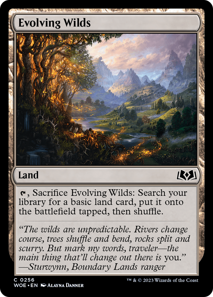 Evolving Wilds (WOE) 256