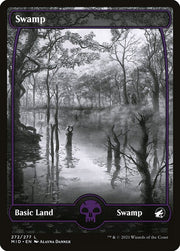 Swamp front