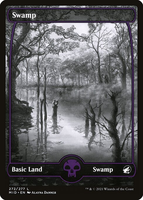 Swamp front
