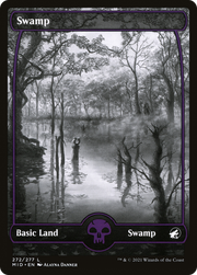 Swamp (MID) 272