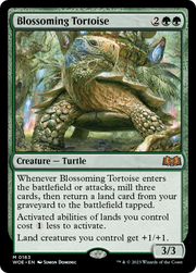 Blossoming Tortoise (WOE) 163