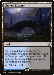 Choked Estuary (CLB) 886