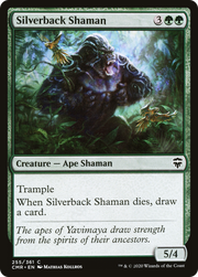 Silverback Shaman (CMR) 255