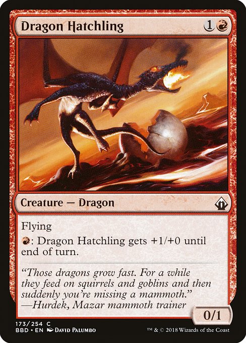 Dragon Hatchling front
