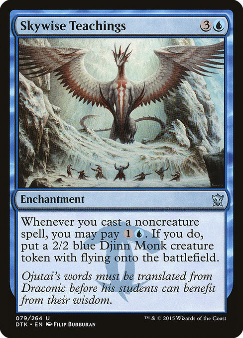 Skywise Teachings front