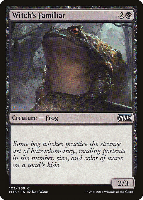 Witch's Familiar front