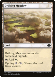 Drifting Meadow (DMR) 245