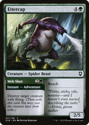 Ettercap // Web Shot (CLB) 231