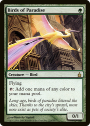 Birds of Paradise (RAV) 153
