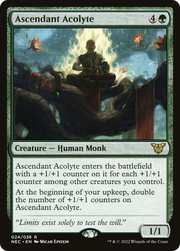 Ascendant Acolyte (NEC) 24