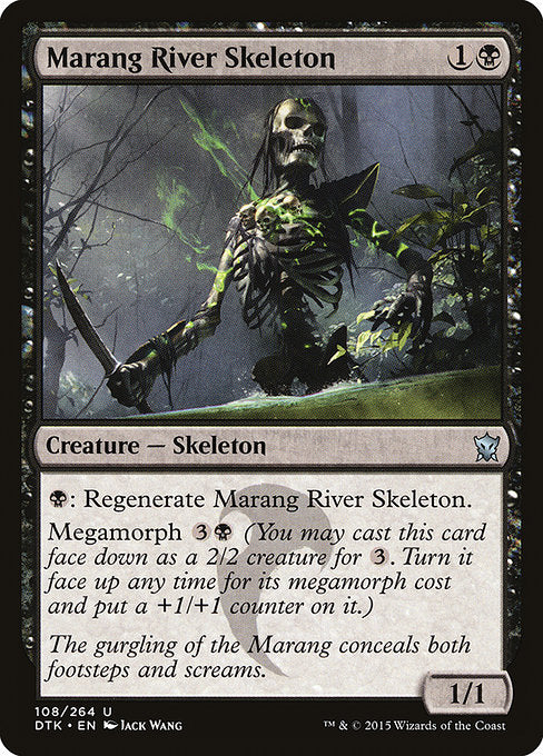 Marang River Skeleton front