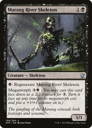 Marang River Skeleton (DTK) 108