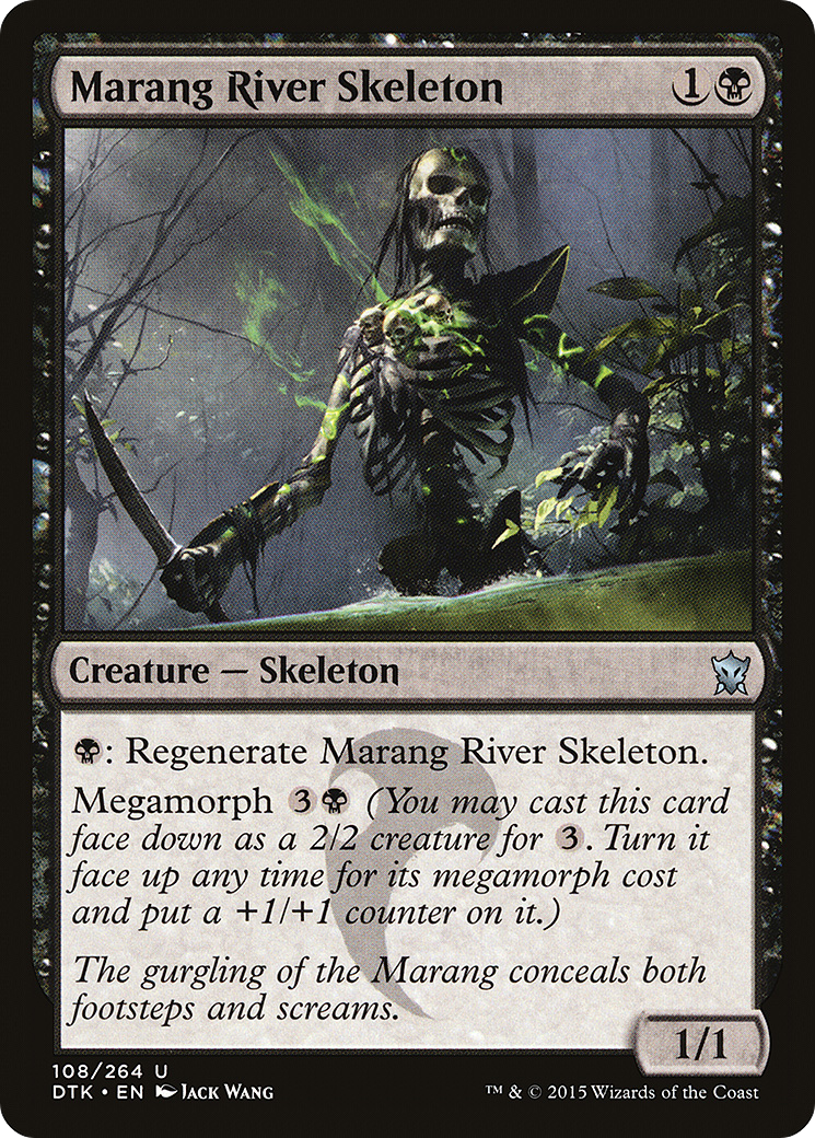 Marang River Skeleton (DTK) 108