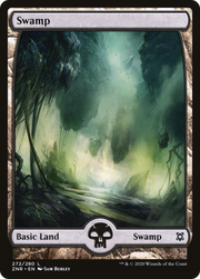 Swamp (ZNR) 272