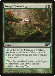 Fungal Sprouting front