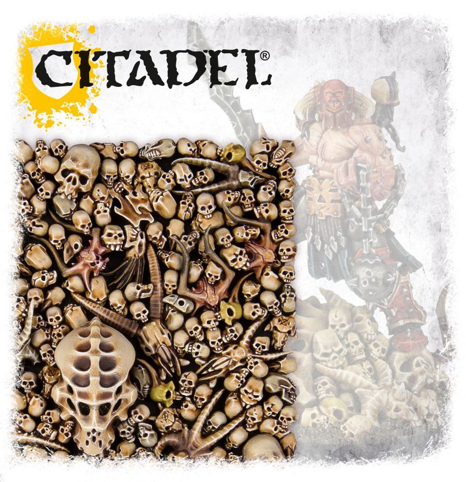 64-29 CITADEL SKULLS