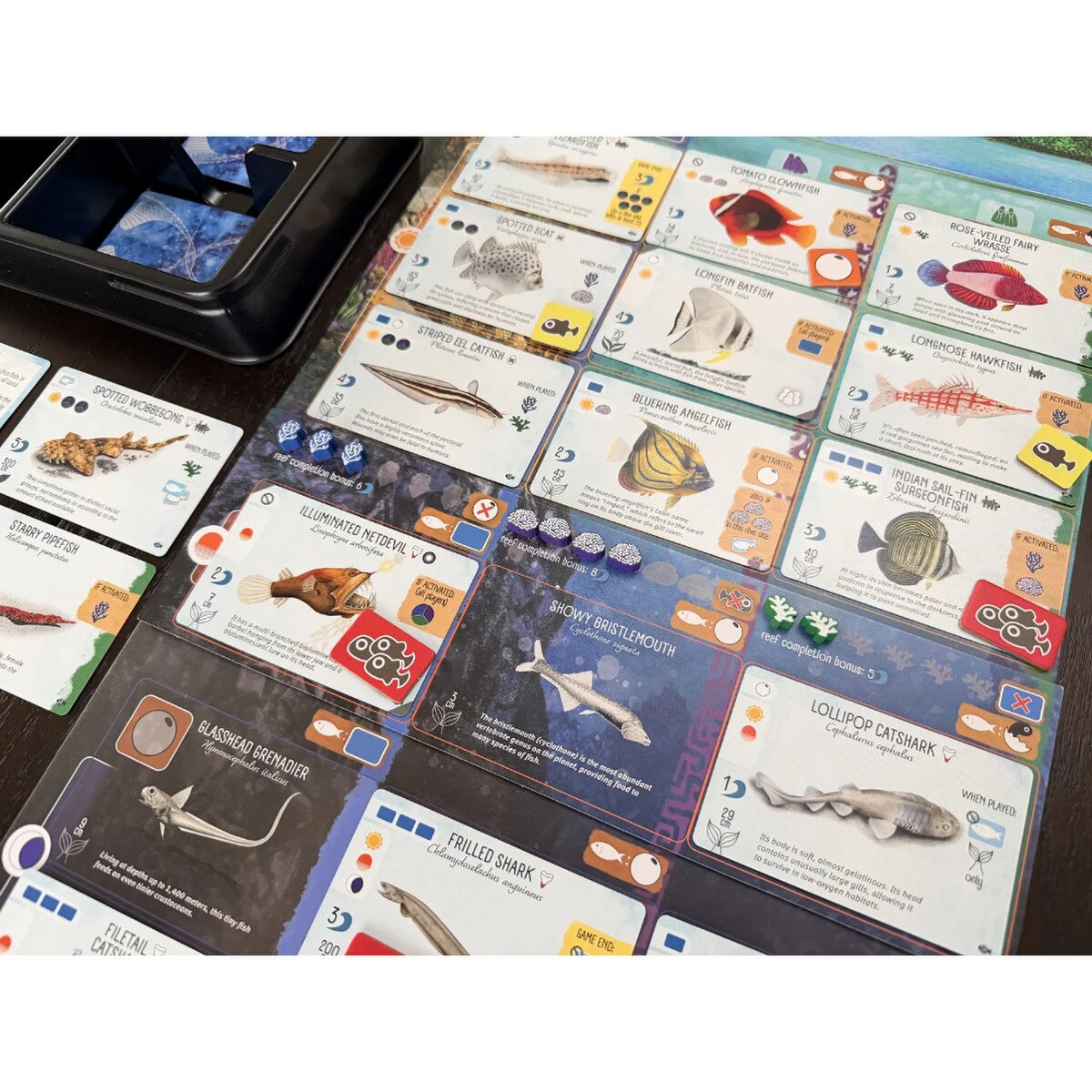 Finspan - Sharks & Reefs Expansion