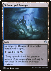 Submerged Boneyard (SCD) 321