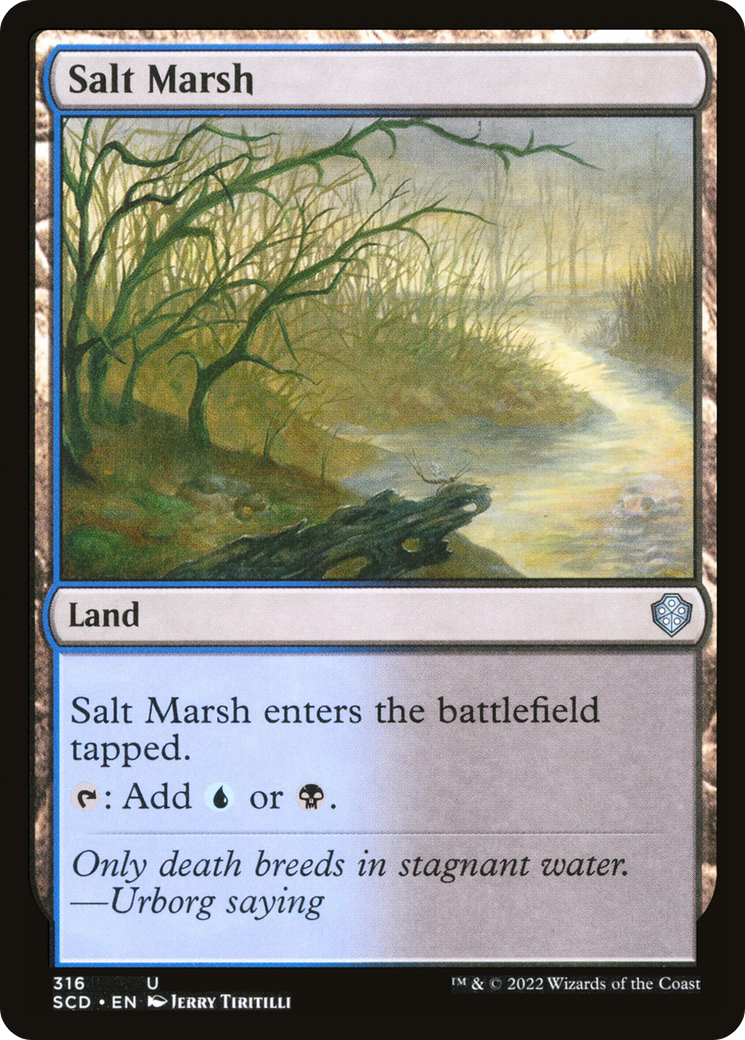Salt Marsh (SCD) 316